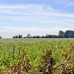 Villavilla 617 - Hasmark Strand, Fyn Og Oer Prázdninový dům